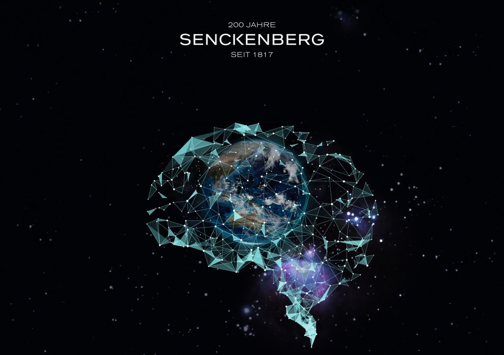 200 Jahre Senckenberg - Larissa Fey